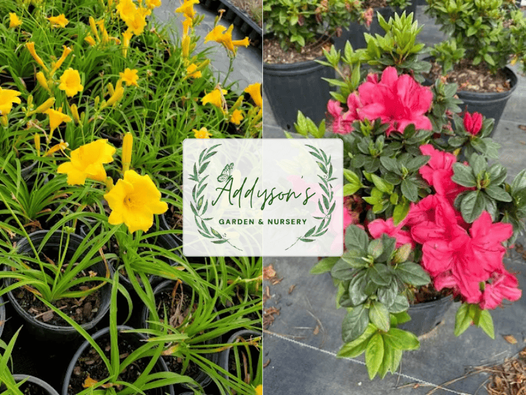 Addysons Garden Nursery LLC
