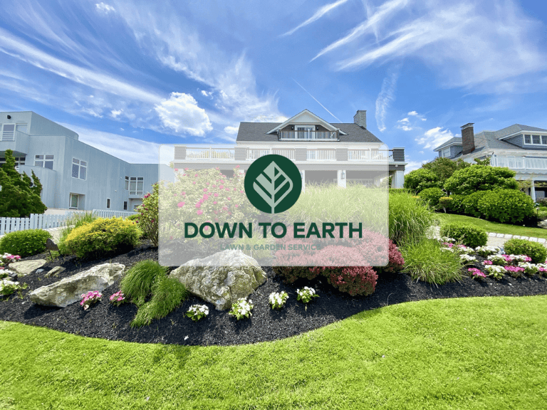 Down to Earth Designs Inc